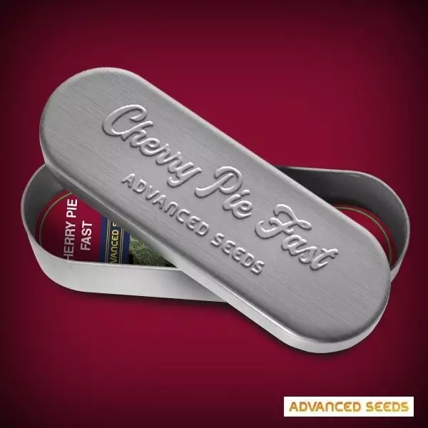 View Cherry Pie Fast