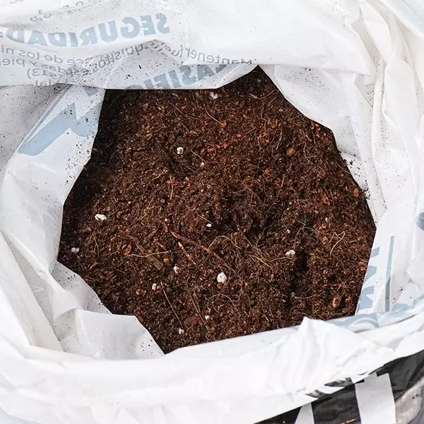 Nutrientes leves da lança