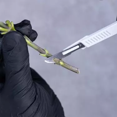 GB Pruning Kit Scalpel