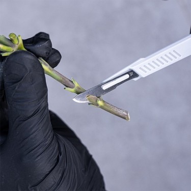 Kit de Poda GB bisturí