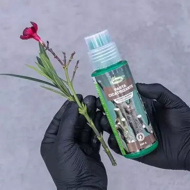 Kit de pasta de vedação de cura Poda GB 250g