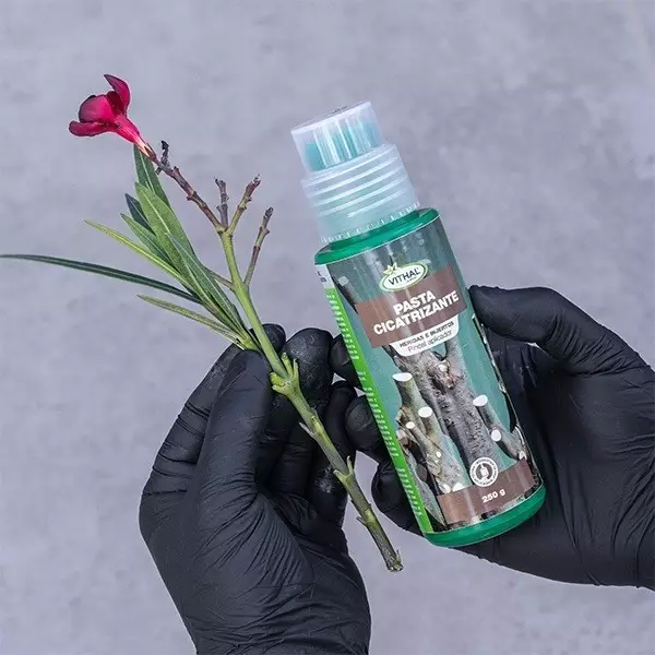 Kit de pasta de vedação de cura Poda GB 250g