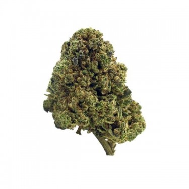 Flores The Tree CBD Indoor flor