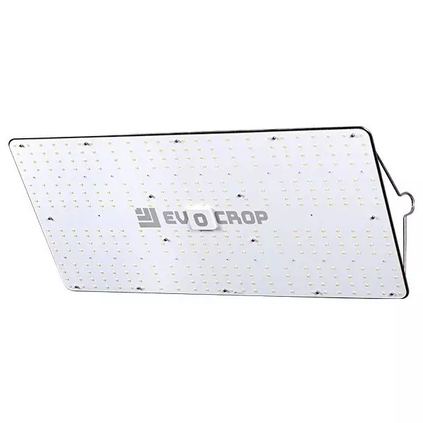 View Panel LED Wallace EVO V1 240W