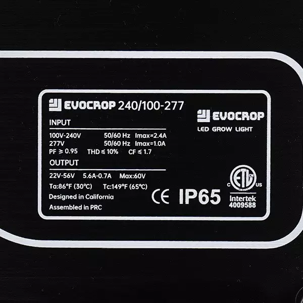 Wallace V1 EVO 240W Dimmable LED Panel