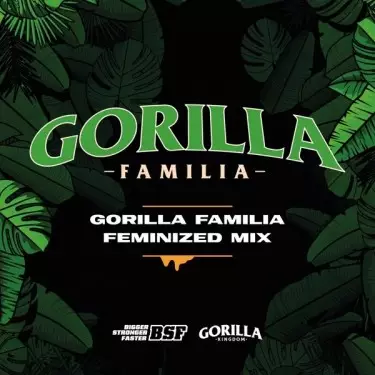 Comprar Gorilla Familia Mix BSF Seeds - GB