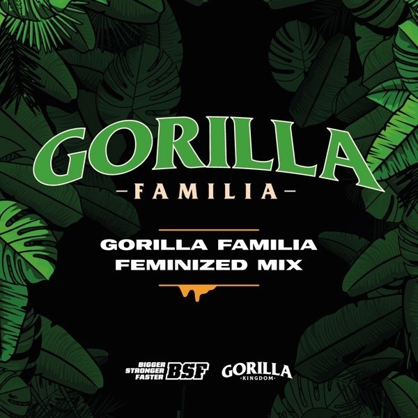 View Gorilla Familia Mix Feminizadas