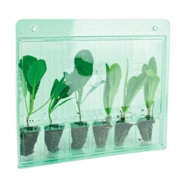 Transport Case for 6 Cuttings closed