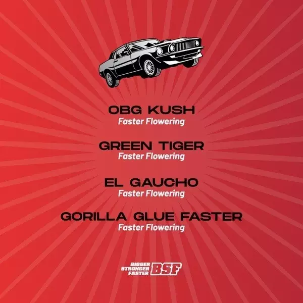 View Faster and Furious Faster Mix