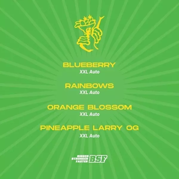 View Tutti Frutti XXL Mix Autoflorecientes