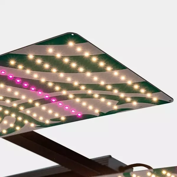 Luminária LED Regulável 750W V3.0 PRO GB Lighting - GB