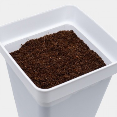 Coco Mix GB Nutrients en maceta