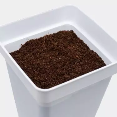 Coco Mix GB Nutrients in a pot