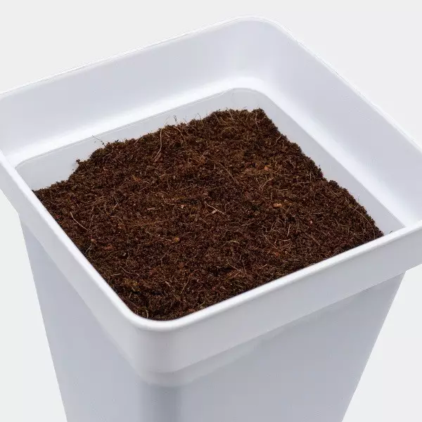 Coco Mix GB Nutrients in a pot
