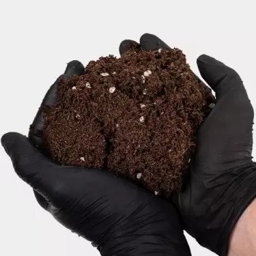 Light Mix GB Nutrients - GB The Green Brand