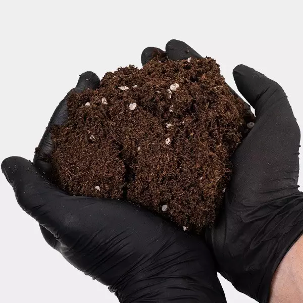 Light Mix GB Nutrients - GB The Green Brand