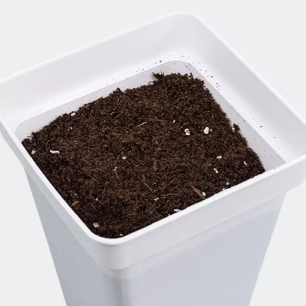 Light Mix GB Nutrients - GB The Green Brand