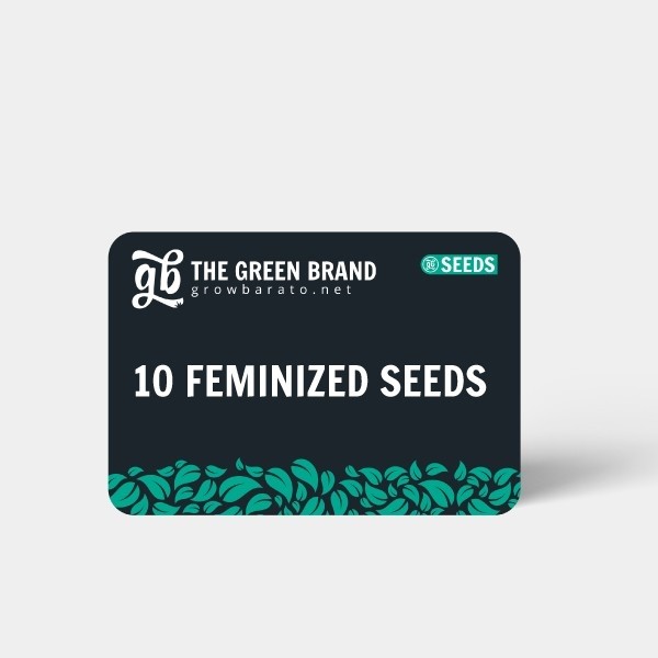 Kit Cultivo de Interior Completo Básico 10 semillas feminizadas