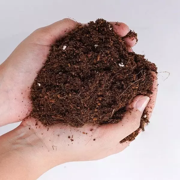 Light Mix de Boom Nutrients | Substrato suave - GB The Green Brand