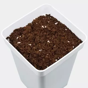 All Mix GB Nutrients - GB The Green Brand