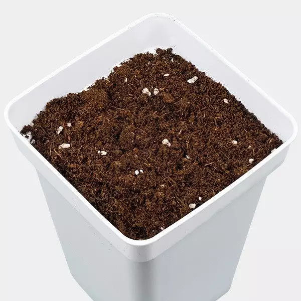 All Mix GB Nutrients - GB The Green Brand