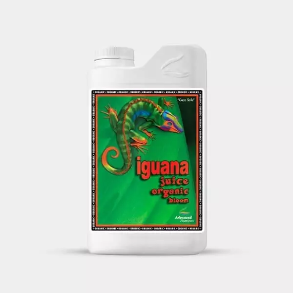 View Organic Iguana Juice Bloom