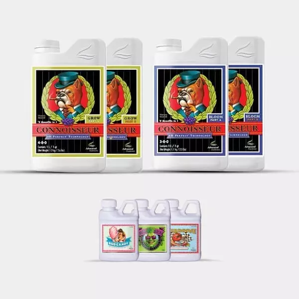 AN Simple Pack Connoisseur