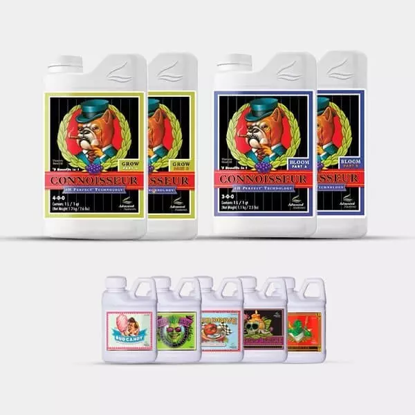 AN Advanced Pack Connoisseur