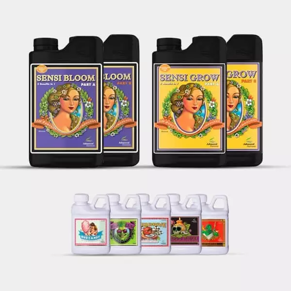 AN Advanced Pack Sensi