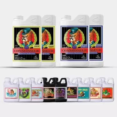 AN Professional Pack Connoisseur