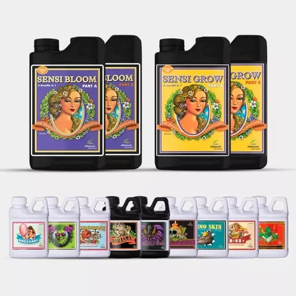 AN Professional Pack Sensi