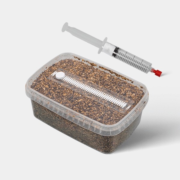 View Kit de Estudios Microscópicos de Esporas de Hongos (con Tupper)