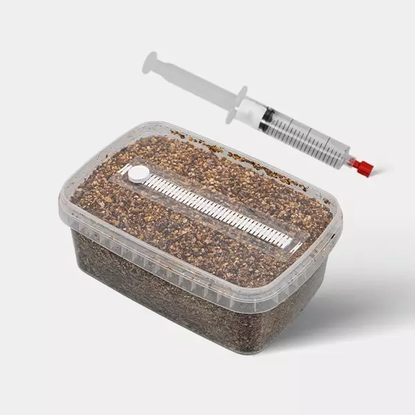 View Microscopic Spore Study Kit (Tupper Included) - GB The Green Brand