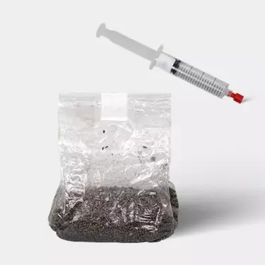 Kit de Estudios Microscópicos de Esporas de Hongos (con Bolsa)