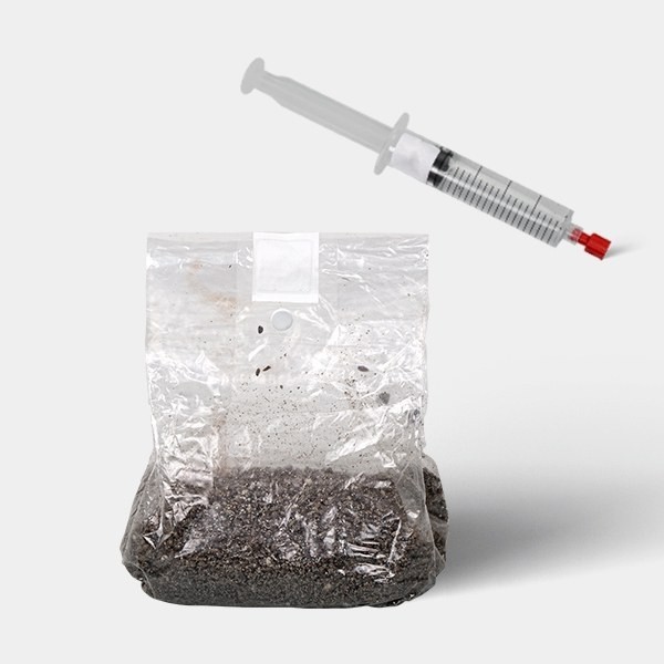 Kit de Estudos Microscópicos de Esporos de Fungos (com Saco)