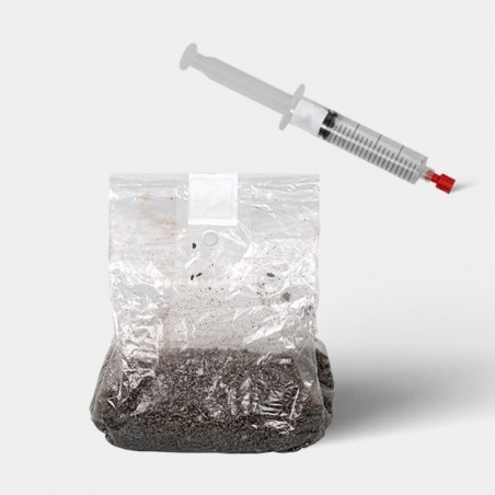 Kit de Estudios Microscópicos de Esporas de Hongos (con Bolsa)