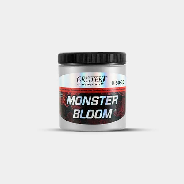  Monster Bloom 