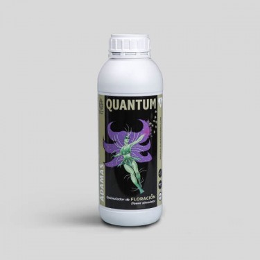 Quantum ÁDamas