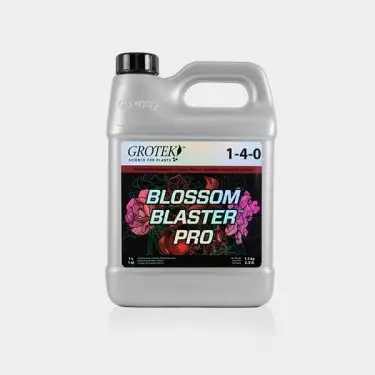 Blossom Blaster Pro 1