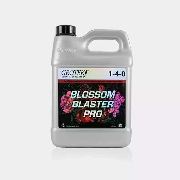 Blossom Blaster Pro de Grotek florescendo - GB The Green Brand