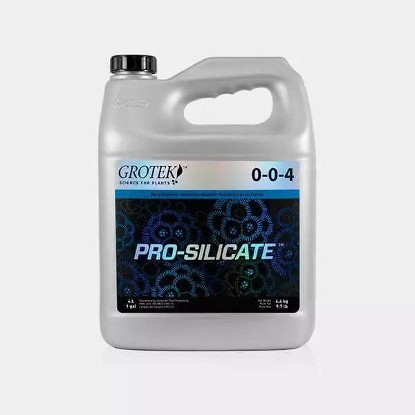 Pro-Silicate 4