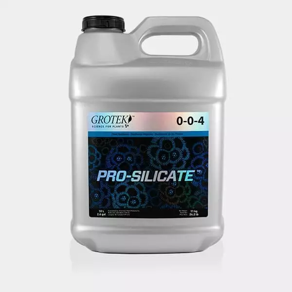 Pro-Silicate 10
