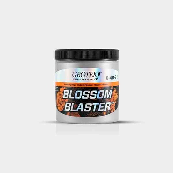 Blossom Blaster 130