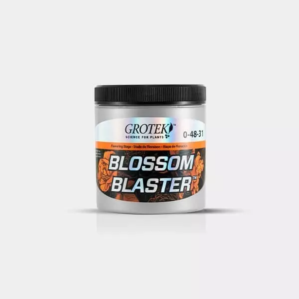 Blossom Blaster