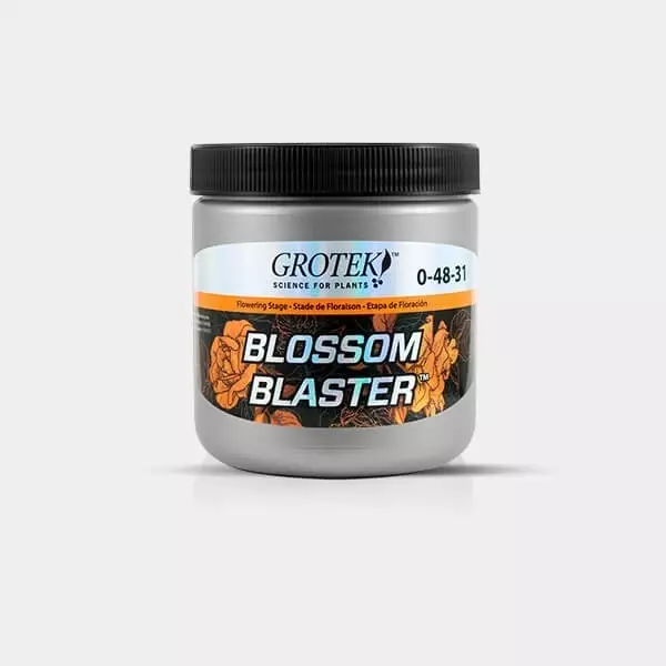 Blossom Blaster