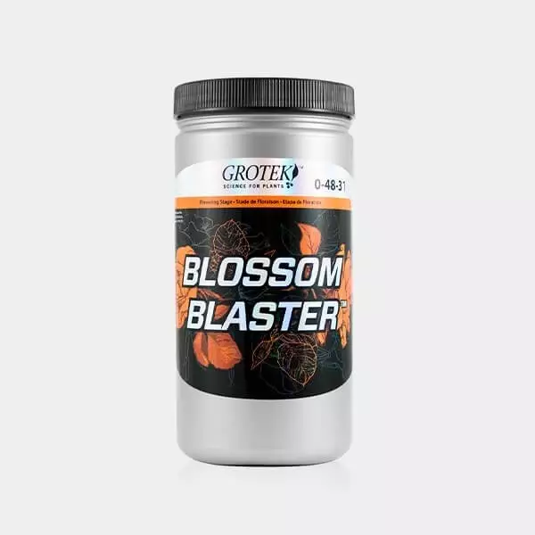 Blossom Blaster