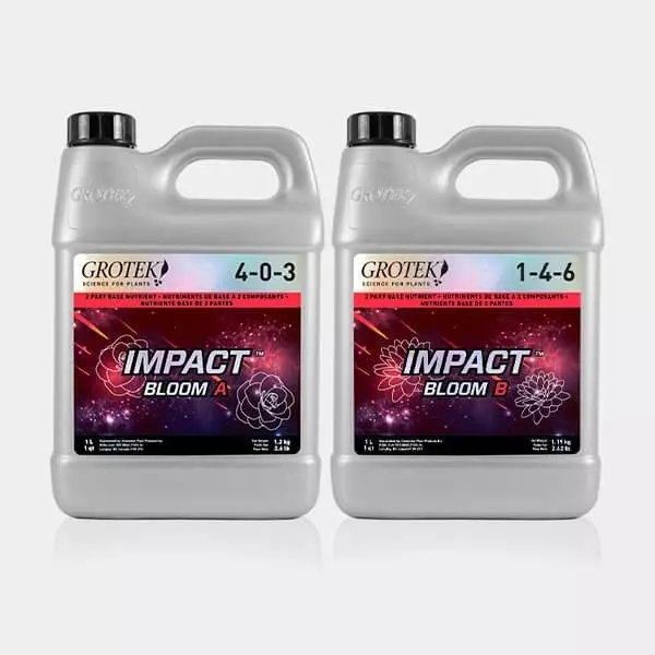 Impact Bloom A+B 1
