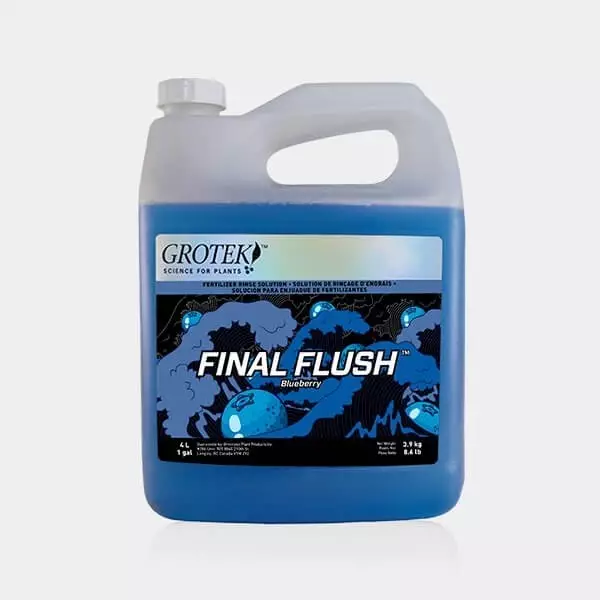 Final Flush Blueberry 4