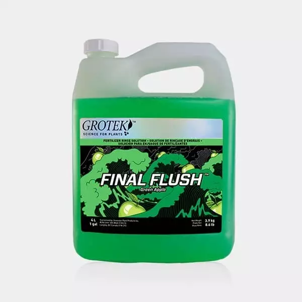 Final Flush Manzana 4