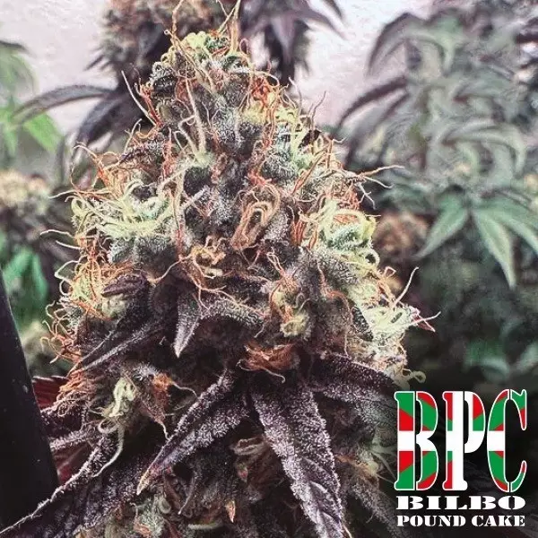 View Bilbo Pound Cake